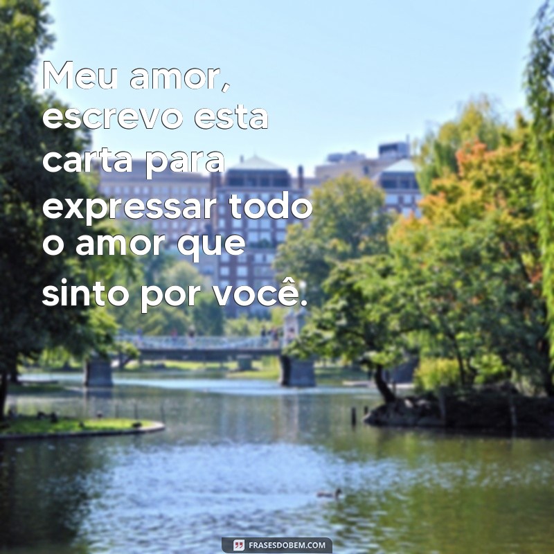 frases de amor para carta Meu amor, escrevo esta carta para expressar todo o amor que sinto por você.