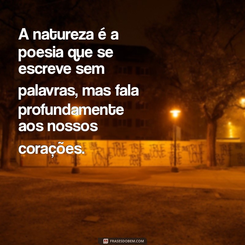 Frases Inspiradoras que Celebram a Beleza da Natureza 