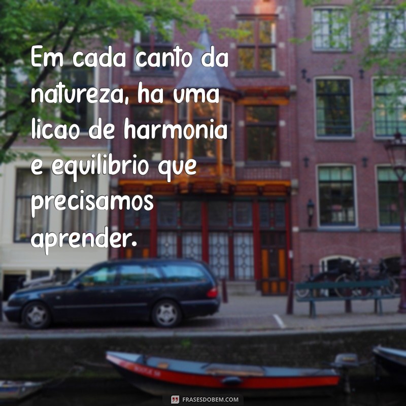 Frases Inspiradoras que Celebram a Beleza da Natureza 