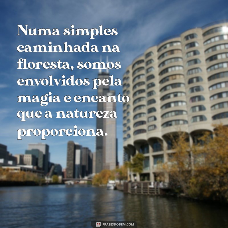 Frases Inspiradoras que Celebram a Beleza da Natureza 