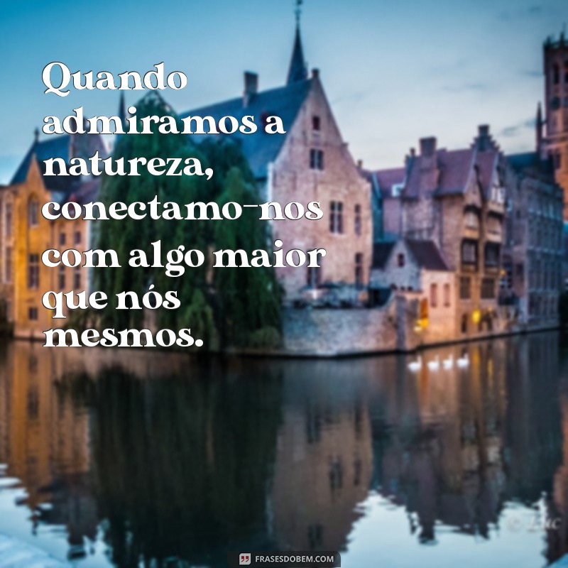 Frases Inspiradoras que Celebram a Beleza da Natureza 