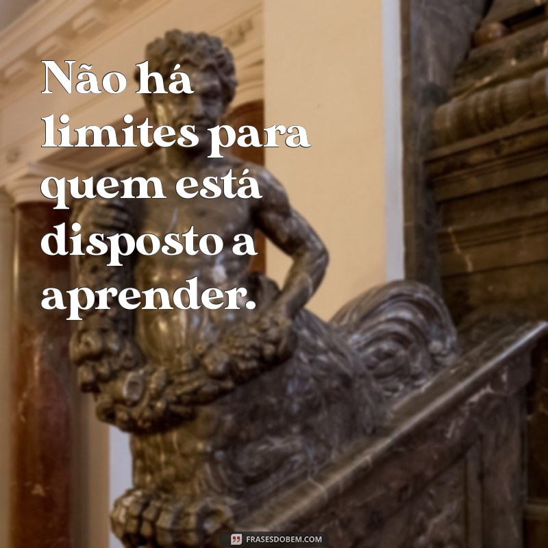 Transforme Sua Vida: A Importância do Estudo e do Conhecimento 
