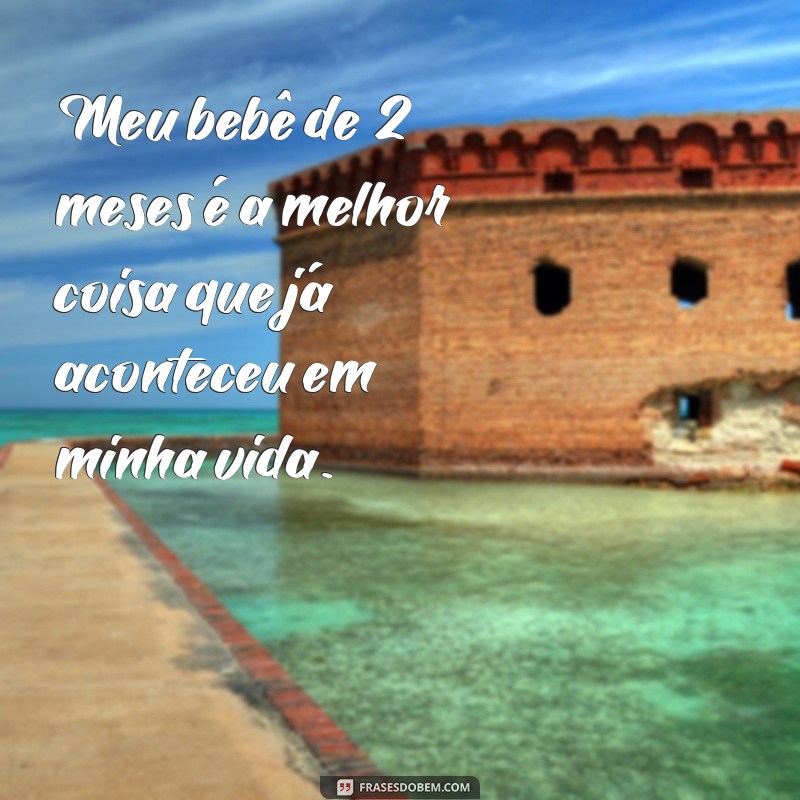 Descubra as melhores frases para comemorar 2 meses de vida do seu bebê! 