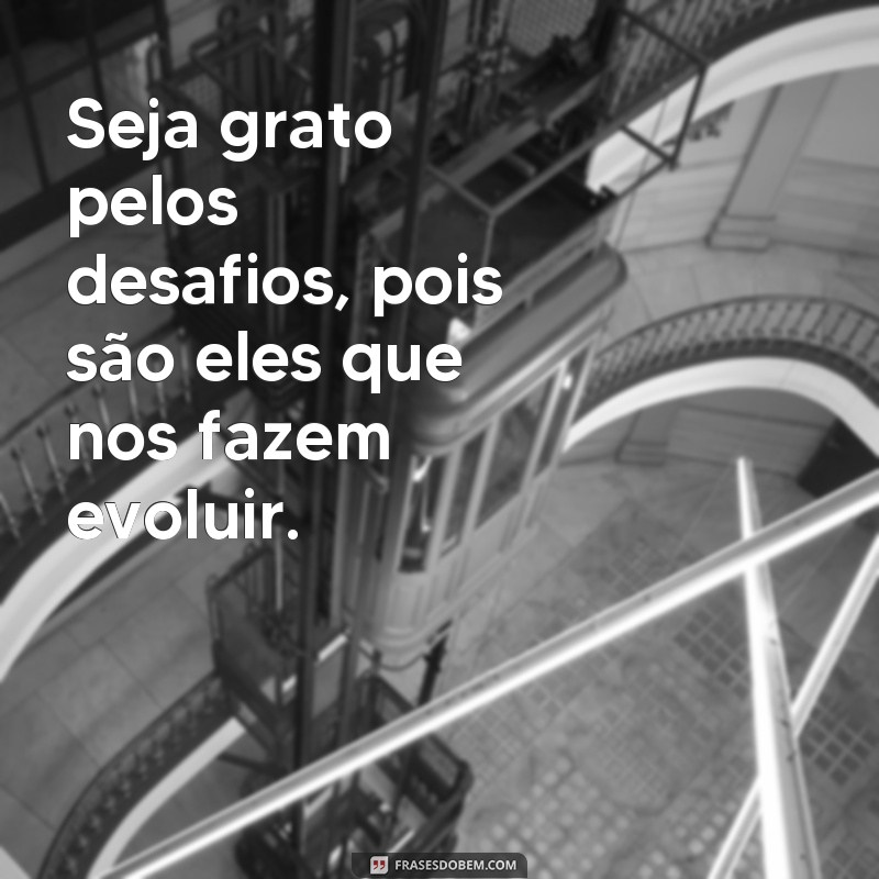 Descubra as melhores frases de valor para celebrar a vida 