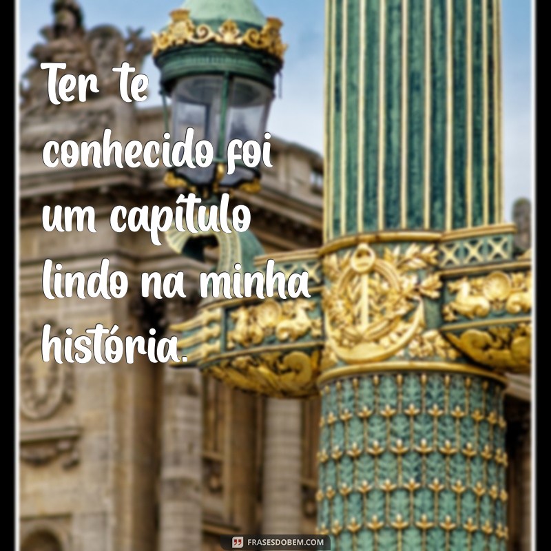 Frases Inspiradoras para Expressar Foi Bom Te Conhecer 