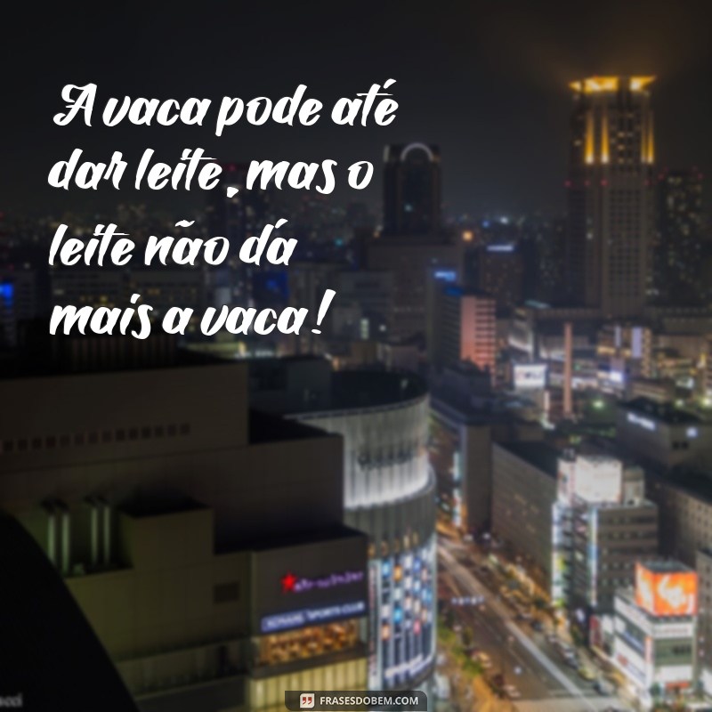 As Melhores Frases Caipiras Engraçadas para Alegrar Seu Dia 