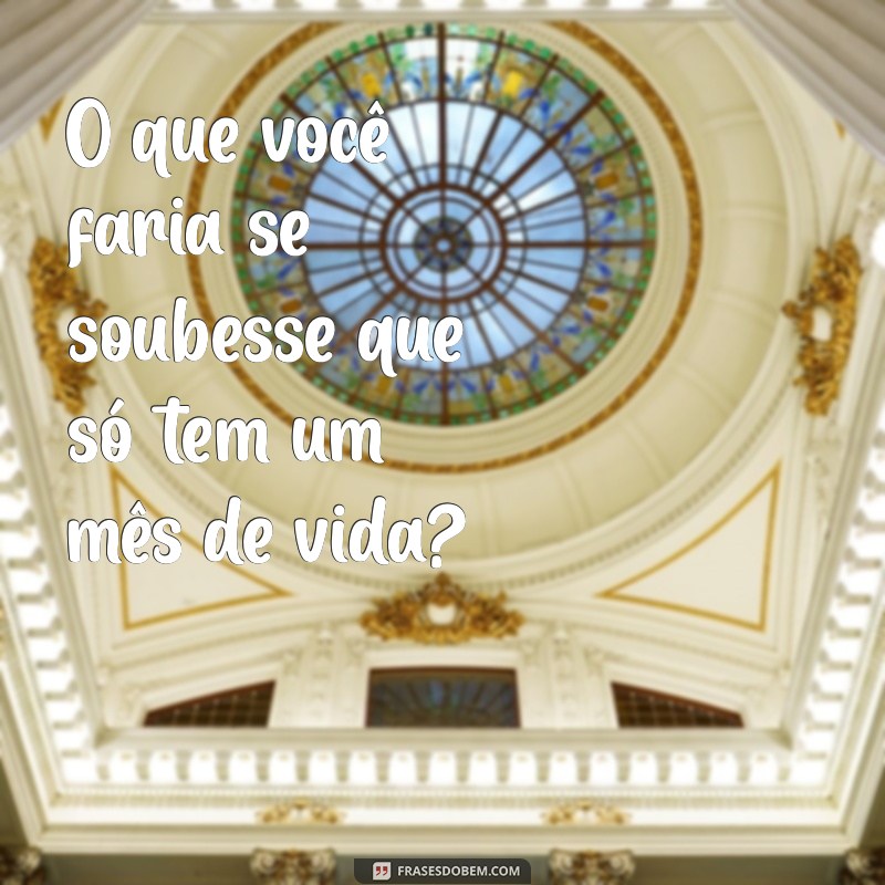 50 Perguntas Curiosas para Estimular Conversas e Descobertas 