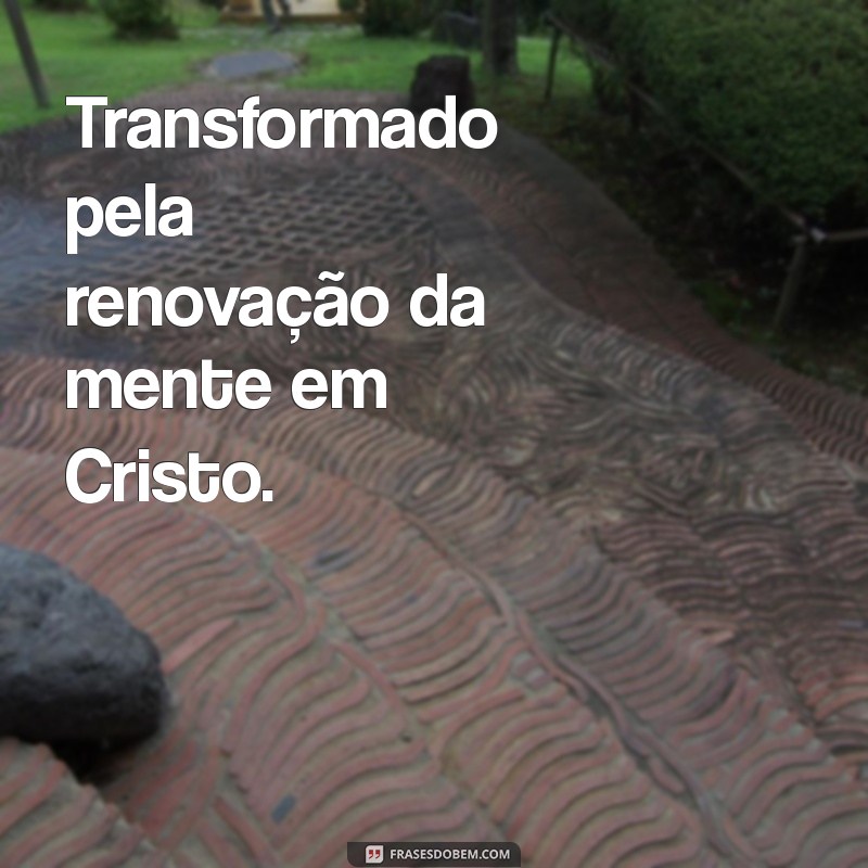 Frases Cristãs Inspiradoras para Transformar sua Bio nas Redes Sociais 