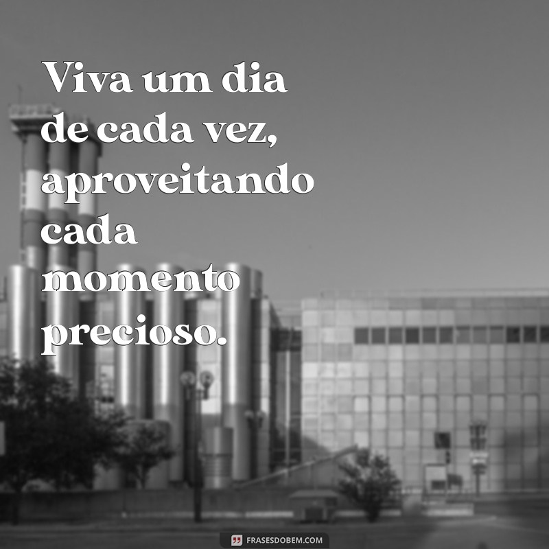 viva um dia de cada vez Viva um dia de cada vez, aproveitando cada momento precioso.