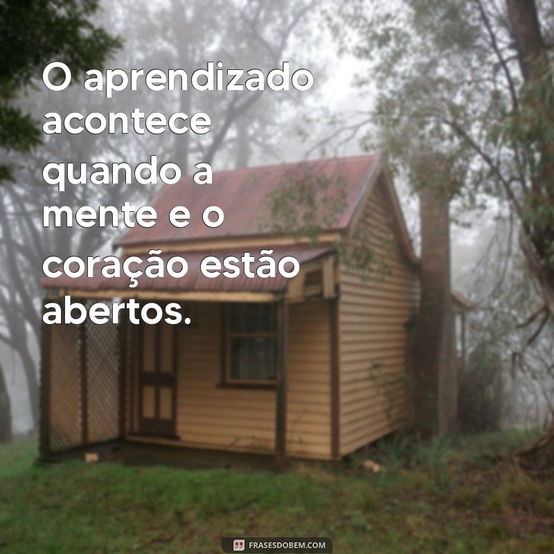 Frases Inspiradoras sobre Ensinamento para Transformar sua Perspectiva 