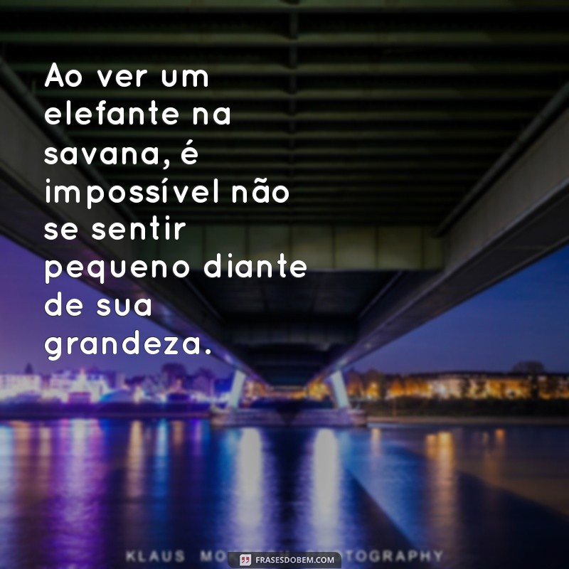 30 Frases Inspiradoras com a Palavra Elefante para Encantar e Refletir 