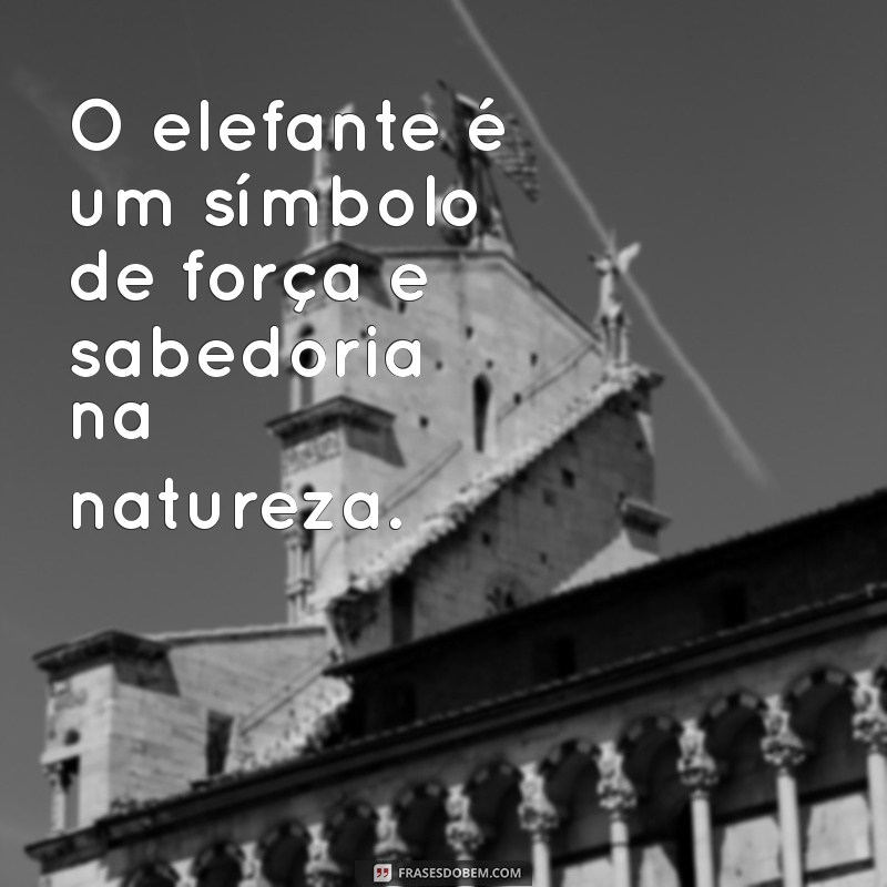 frases com a palavra elefante O elefante é um símbolo de força e sabedoria na natureza.