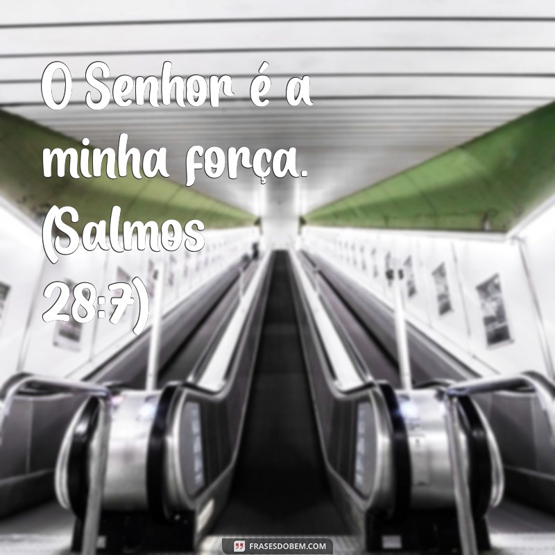 Frases Curtas da Bíblia para Inspiração e Motivação Diária 