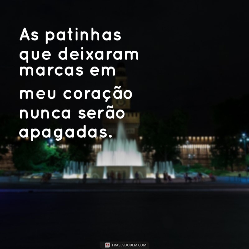 Como Lidar com o Luto pela Perda do Seu Cachorro: Dicas e Reflexões 