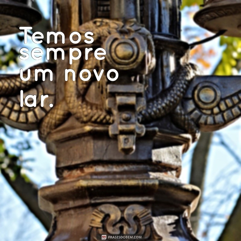 Descubra a Beleza dos Poemas de Casimiro de Abreu: Um Mergulho na Poesia Brasileira 