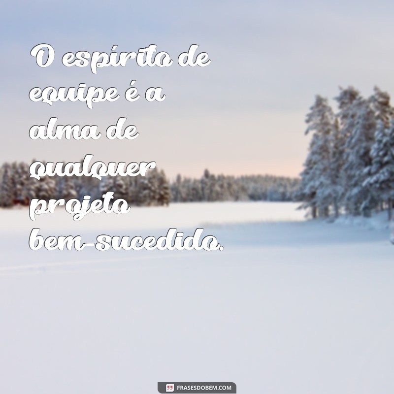 Frases Inspiradoras sobre Trabalho em Equipe para Motivar seu Grupo 