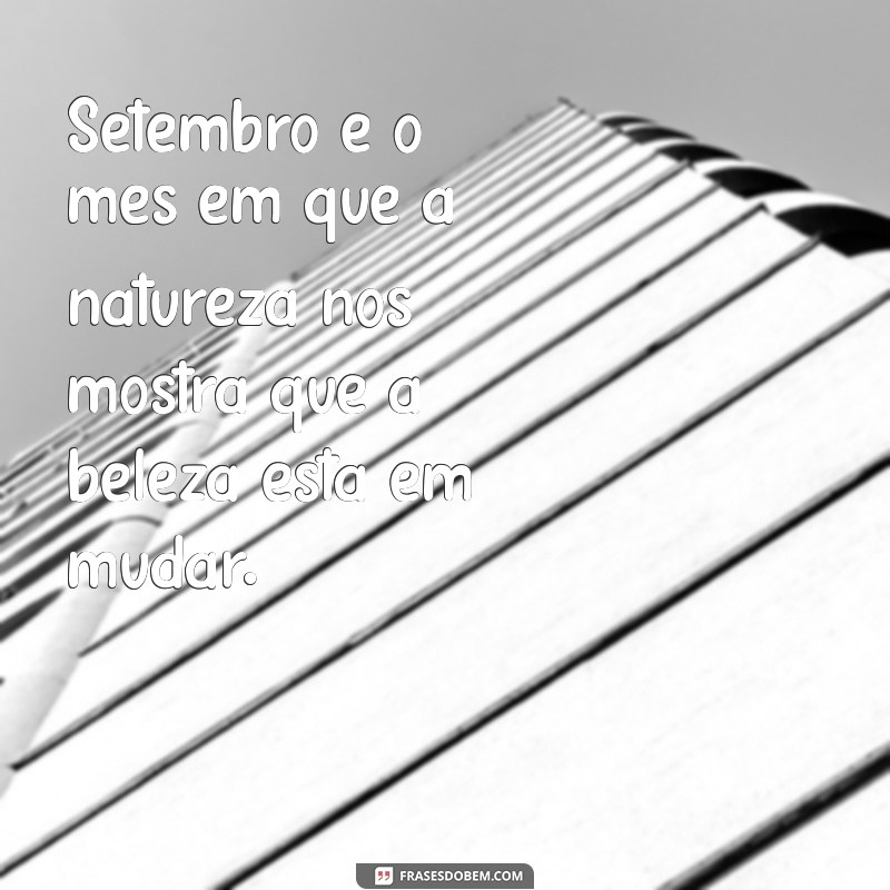 Frases Inspiradoras para Celebrar o Dia 1 de Setembro 