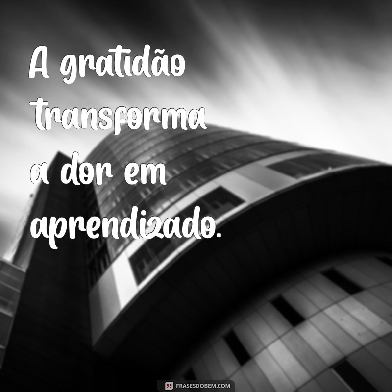 Frases Inspiradoras sobre Reconhecimento e Gratidão para Valorizar Pequenos Gestos 