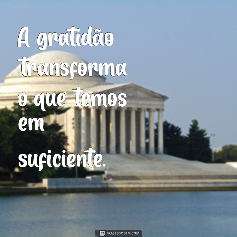 frases sobre reconhecimento e gratidão A gratidão transforma o que temos em suficiente.