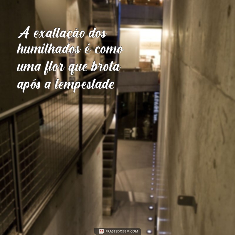 Frases Bíblicas Inspiradoras: Os Humilhados Serão Exaltados 