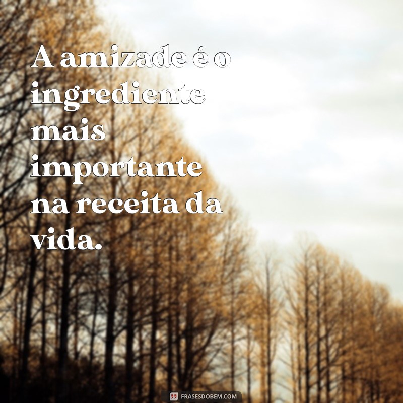 Frases Curtas sobre Amizade: Inspirações do Pensador 