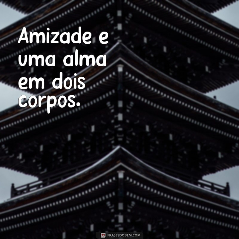 Frases Curtas sobre Amizade: Inspirações do Pensador 