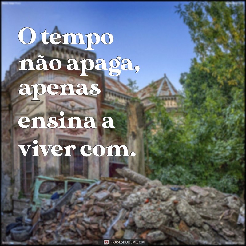 Frases Curtas para Expressar o Luto: Conforto e Reflexão em Momentos Difíceis 