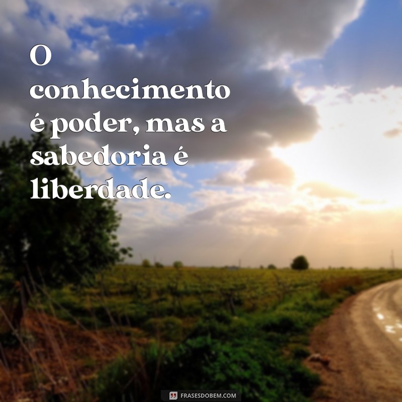 Frases Inspiradoras para Transformar Seu Dia: Palavras que Motivam e Encantam 