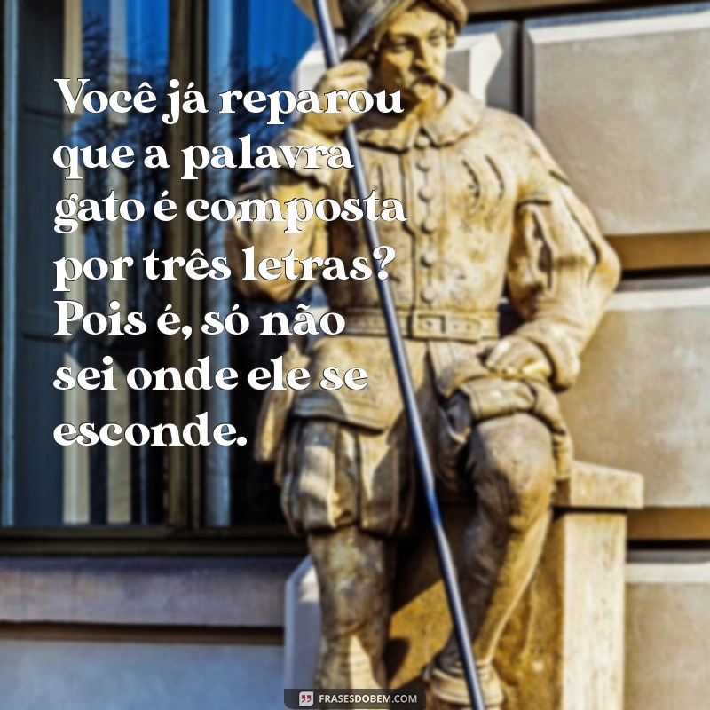 30 Frases Engraçadas para Alegrar Seu Dia 