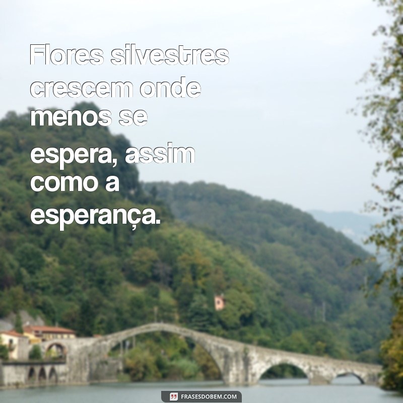 Descubra Frases Inspiradoras sobre a Beleza da Natureza 