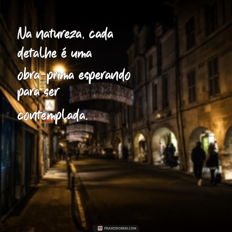 Descubra Frases Inspiradoras sobre a Beleza da Natureza 