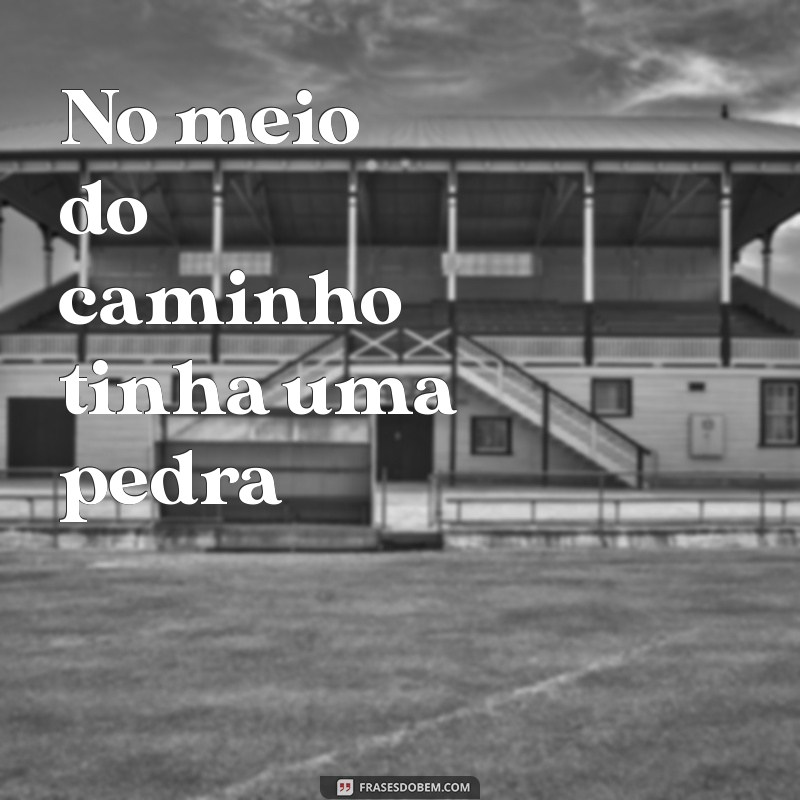 poesias de carlos drummond de andrade No meio do caminho tinha uma pedra