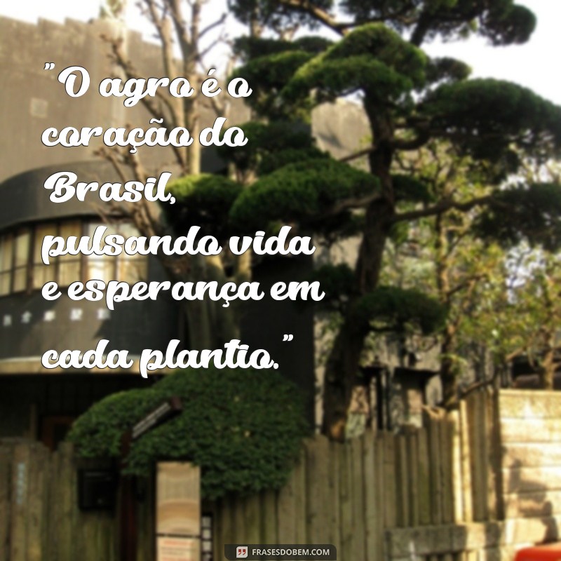 frases sobre o agro 