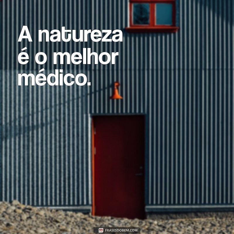 Descubra as Frases Inspiradoras de Hipócrates: Sabedoria da Medicina Antiga 