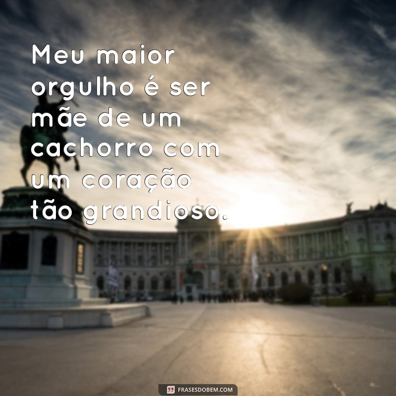 Descubra as melhores frases para expressar o amor de mãe pelos seus cachorros 