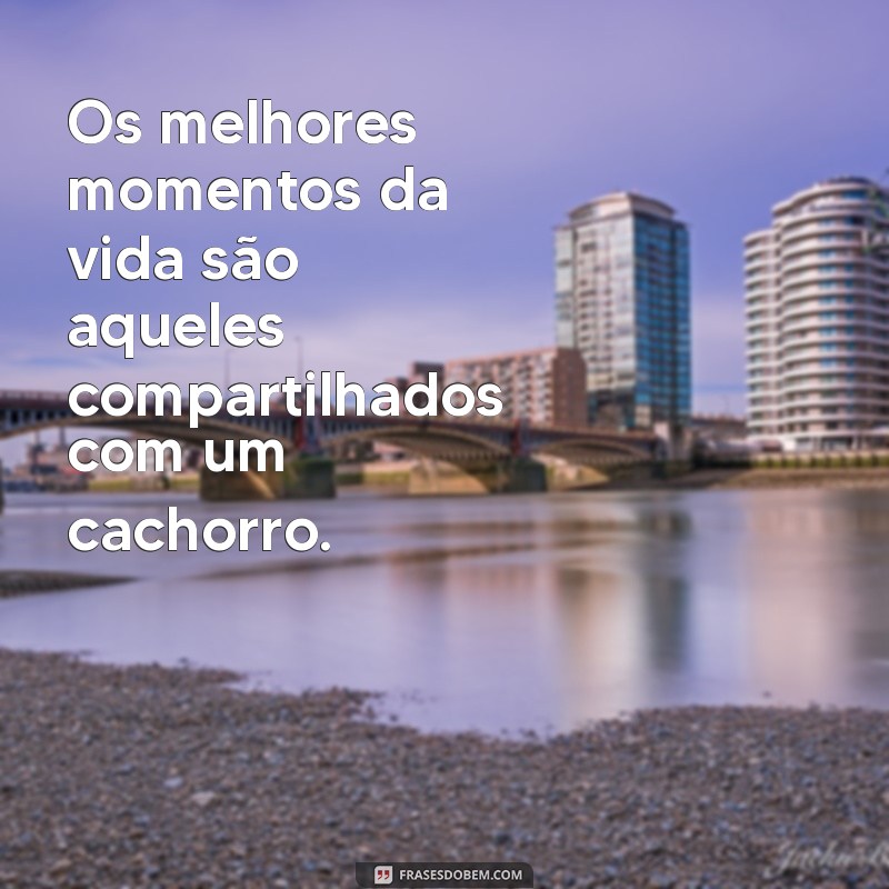 Frases Inspiradoras sobre Cachorros: O Melhor Amigo do Homem 