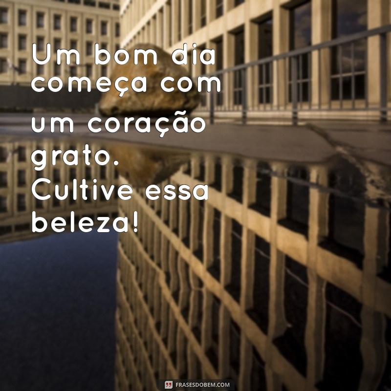 Frases Inspiradoras de Motivação e Gratidão para Começar o Dia com Energia 