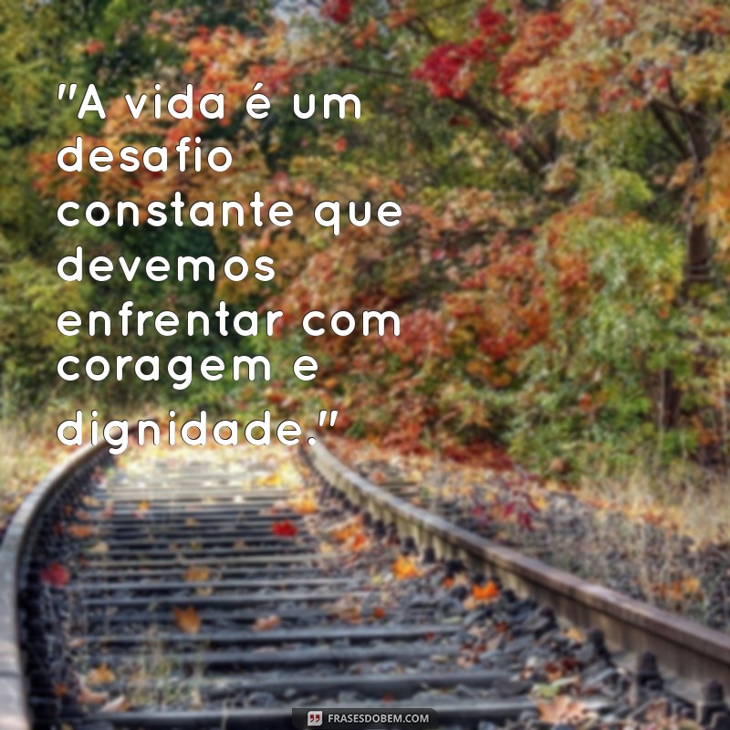 frases de machado de assis 