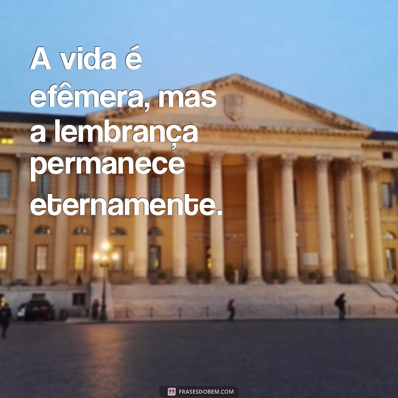 Descubra as melhores fotos de cemitérios com frases inspiradoras 