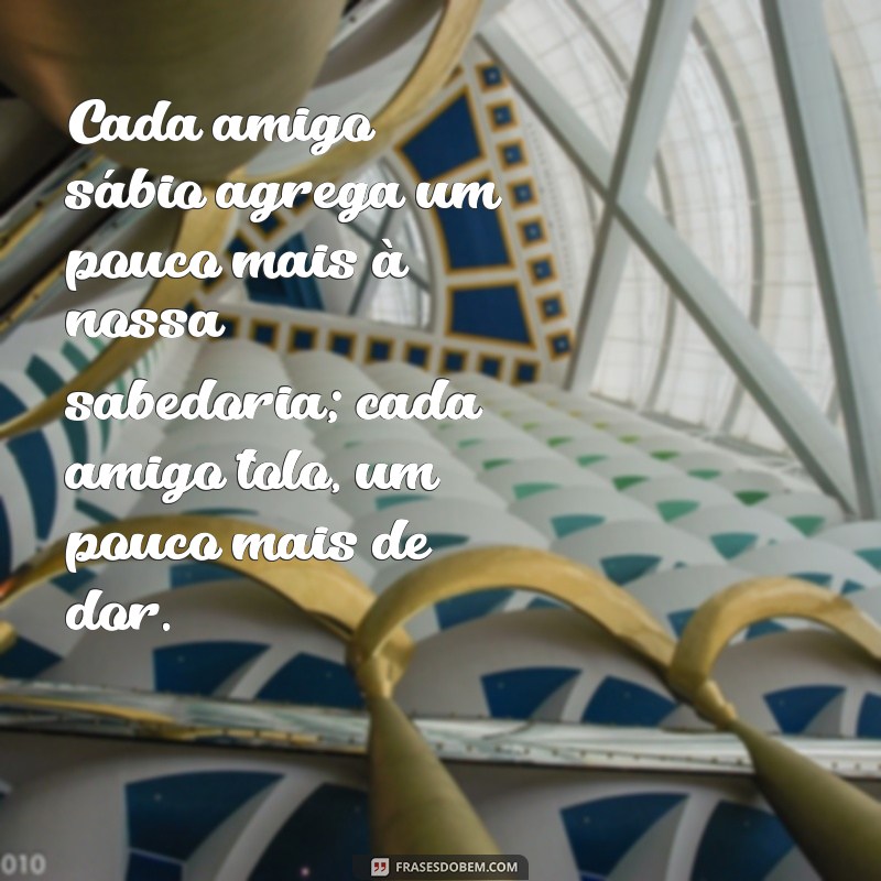 Como a Companhia Certa Pode Transformar Sua Sabedoria: Aprenda com os Sábios e Evite os Tolos 