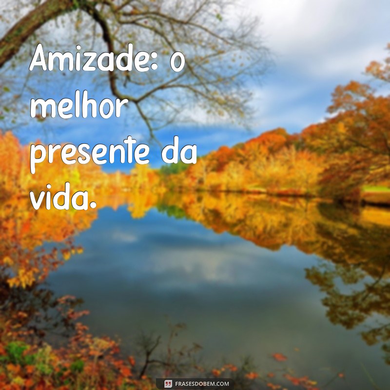 frases de amizade curtas para status Amizade: o melhor presente da vida.