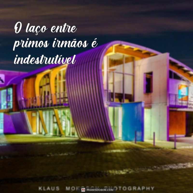 Descubra as melhores frases para expressar o amor pelo seu primo irmão 