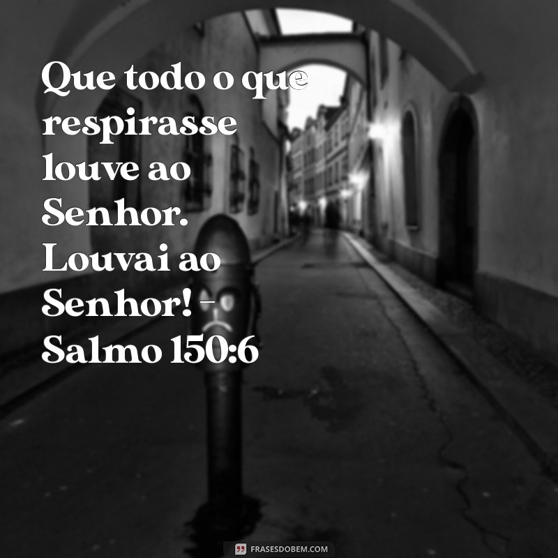 Os Melhores Versículos Bíblicos para Fortalecer o Amor entre Casais Evangélicos 