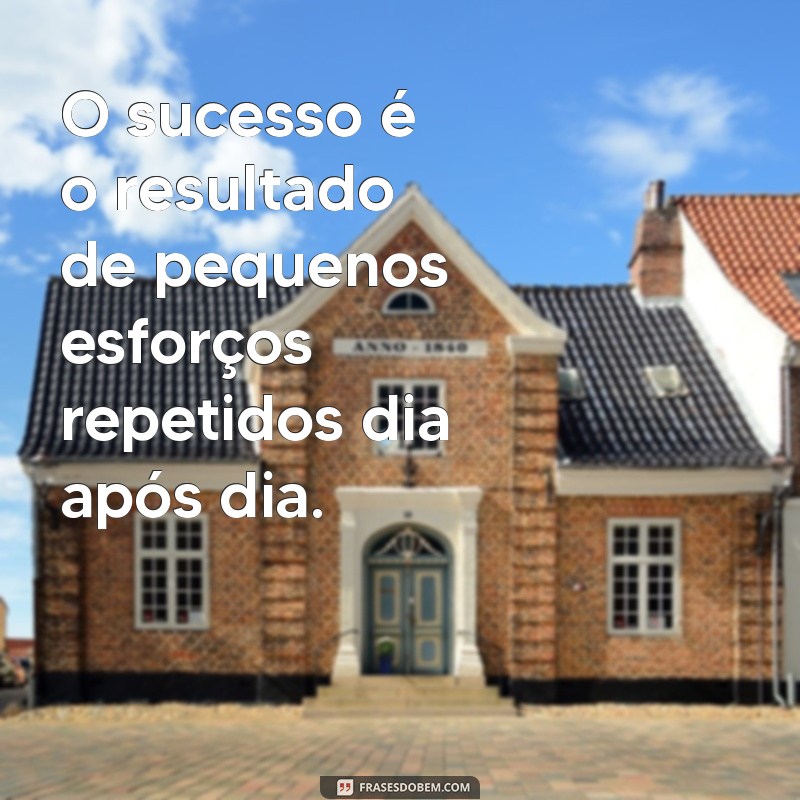 motivação profissional O sucesso é o resultado de pequenos esforços repetidos dia após dia.