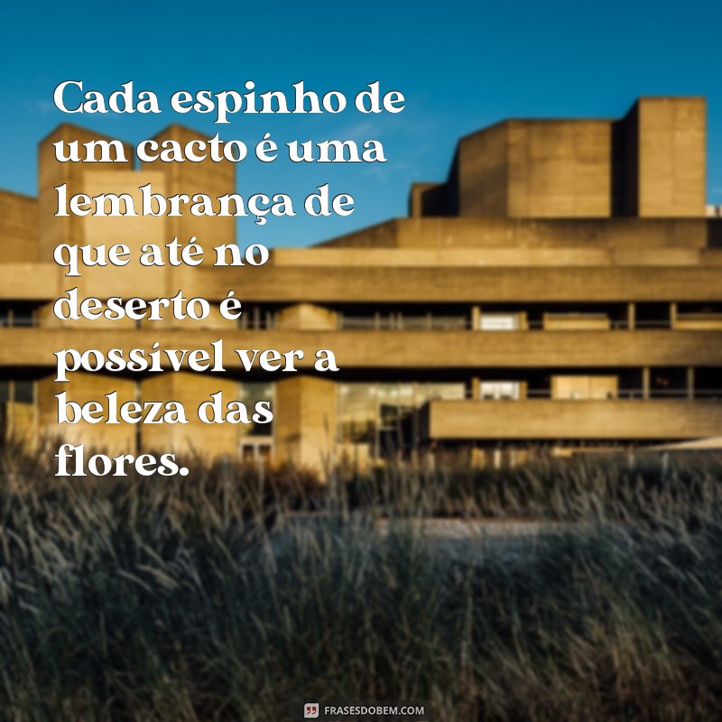 Descubra as melhores frases para florescer no deserto da vida 