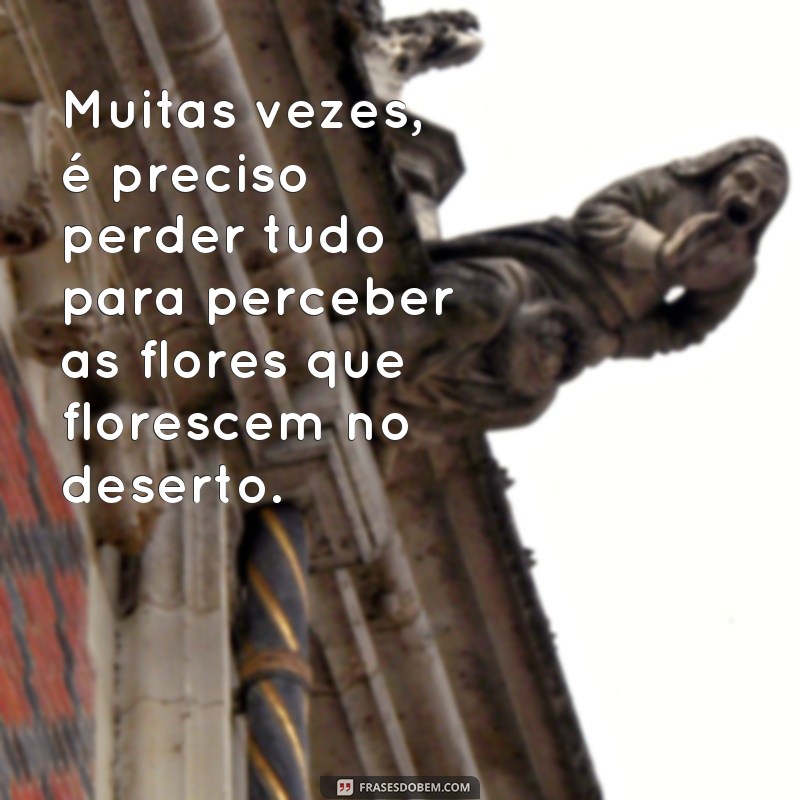 Descubra as melhores frases para florescer no deserto da vida 