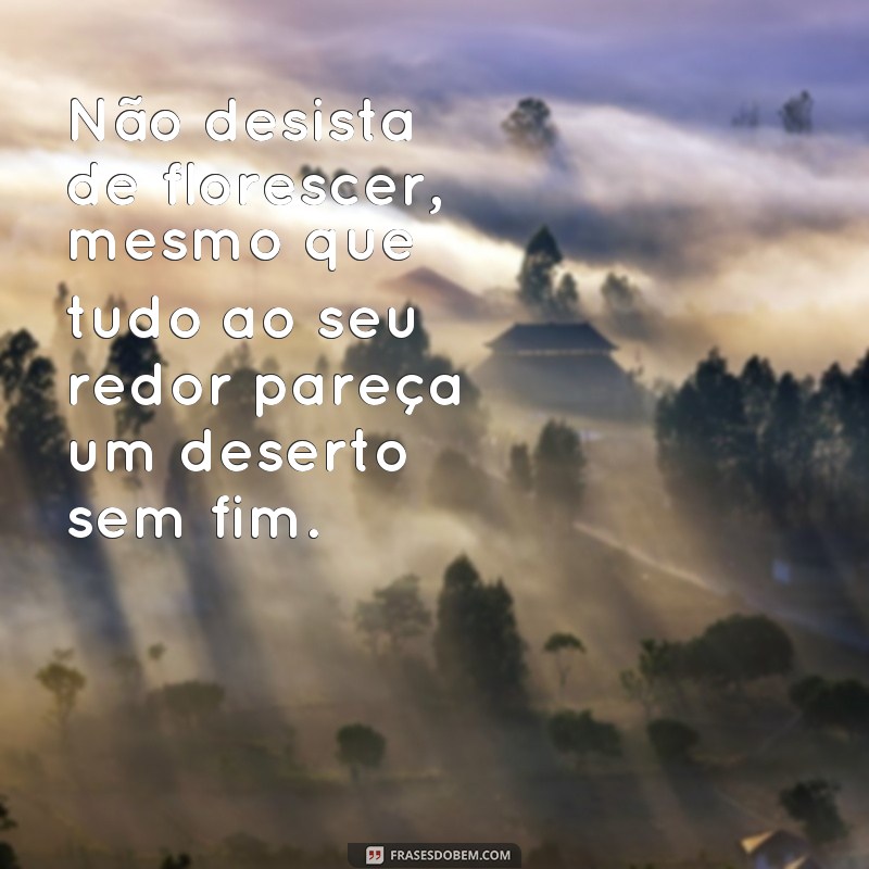 Descubra as melhores frases para florescer no deserto da vida 