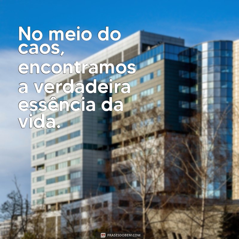 frases de caos No meio do caos, encontramos a verdadeira essência da vida.