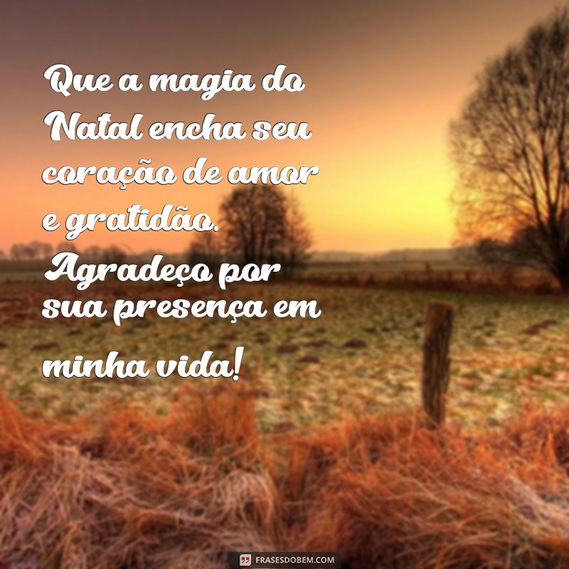 mensagem de agradecimento de natal Que a magia do Natal encha seu coração de amor e gratidão. Agradeço por sua presença em minha vida!