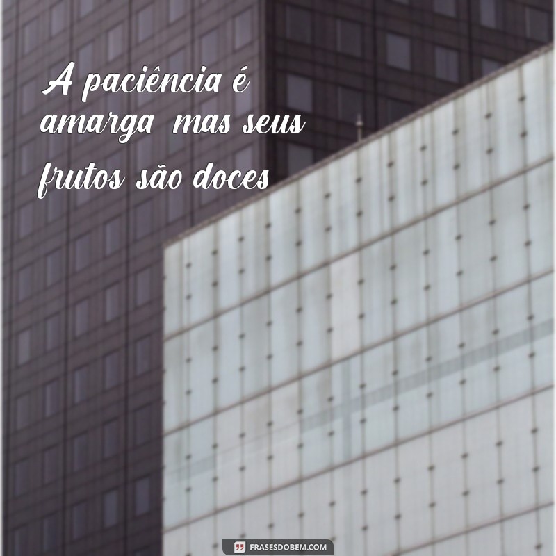 Frases Inspiradoras para Transformar Seu Dia e Aumentar sua Motivação 